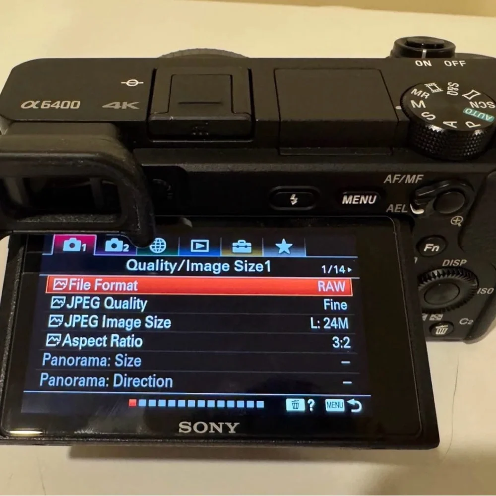 Sony a6400 with Black Display